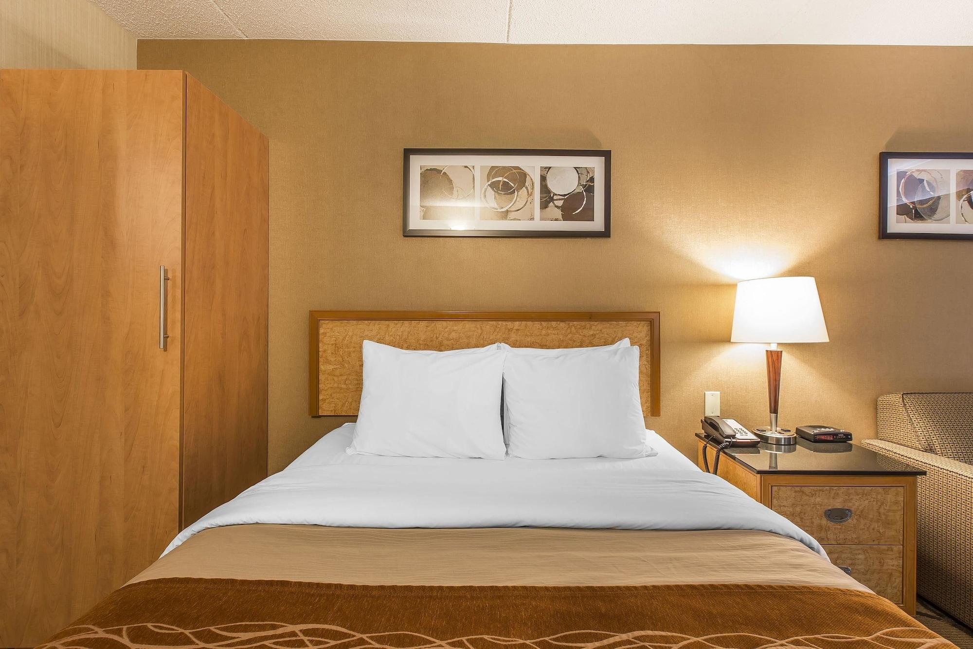 Comfort Sydney
