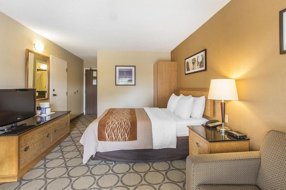 Comfort 3*