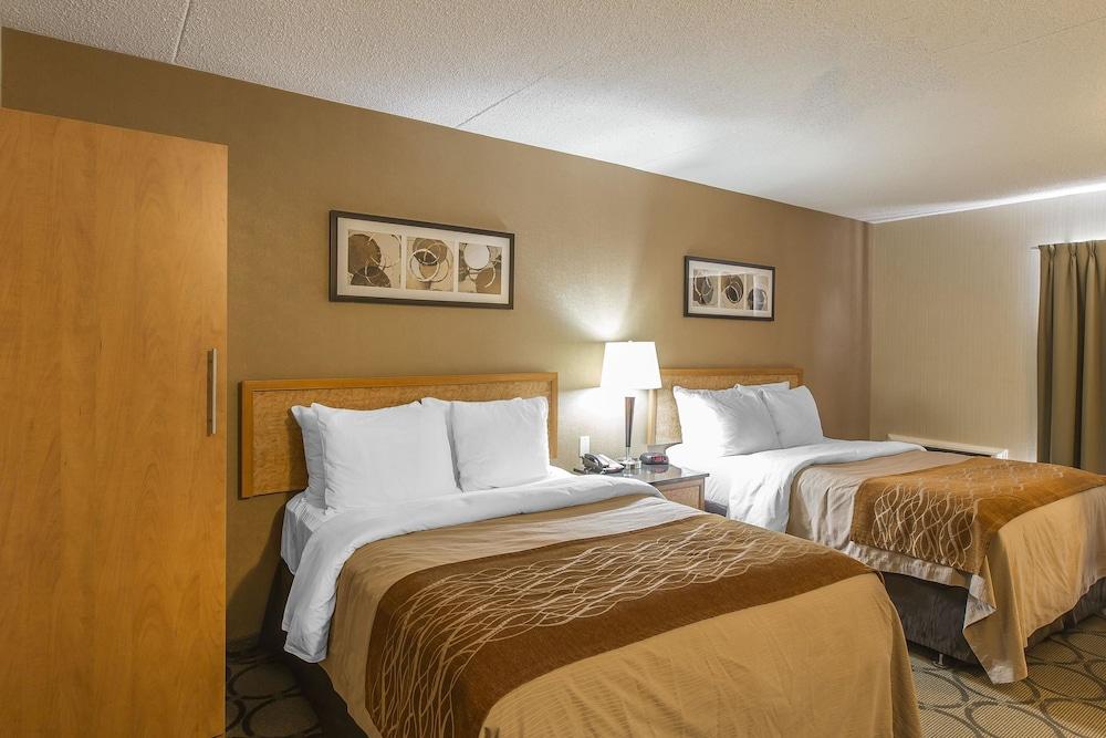 Comfort 3* Sydney