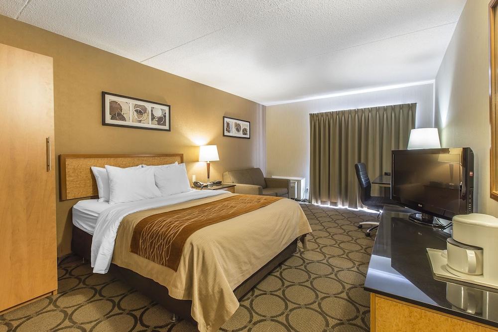 Comfort Mini-hôtel