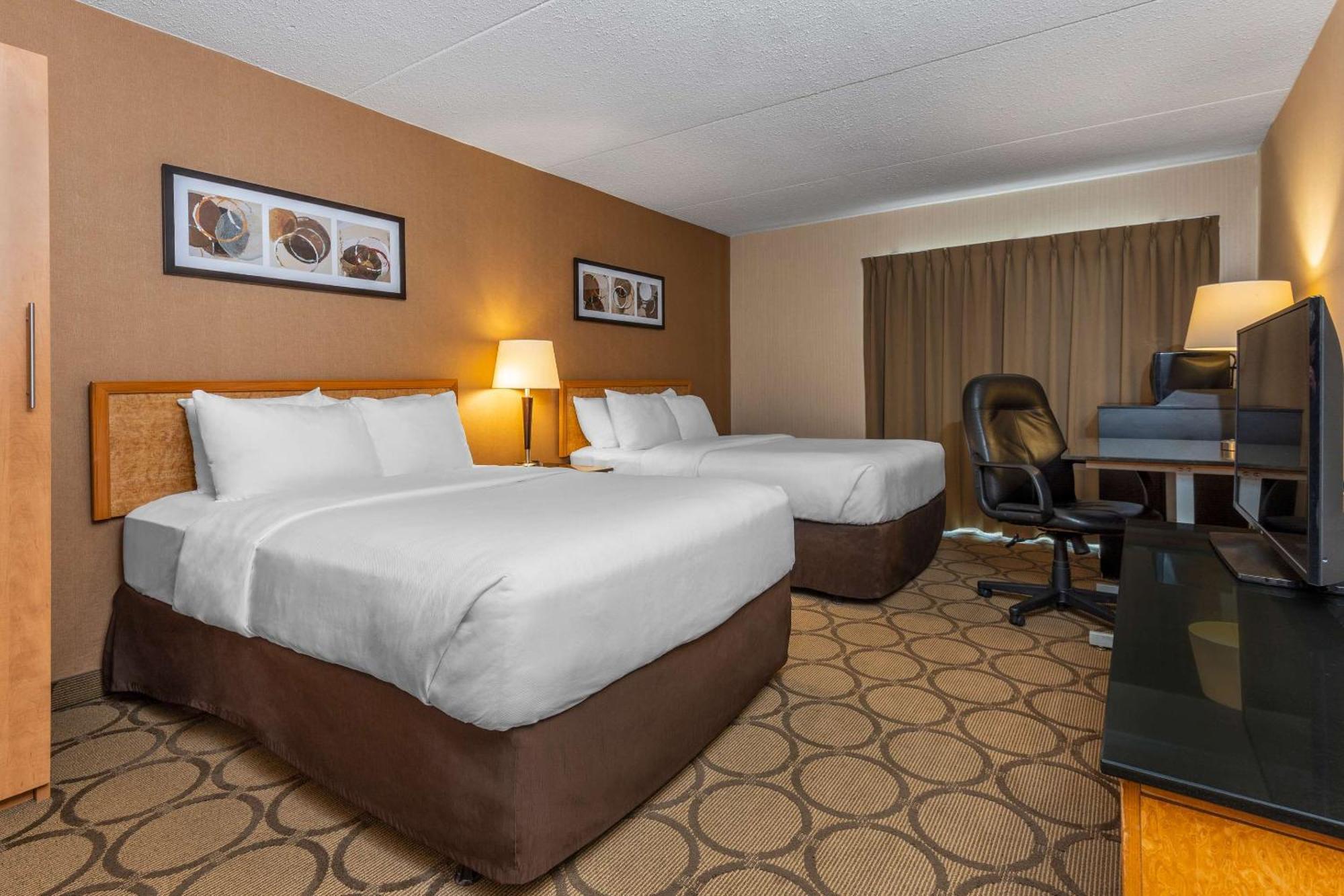 Comfort Sydney